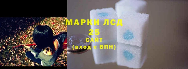 шишки Балахна