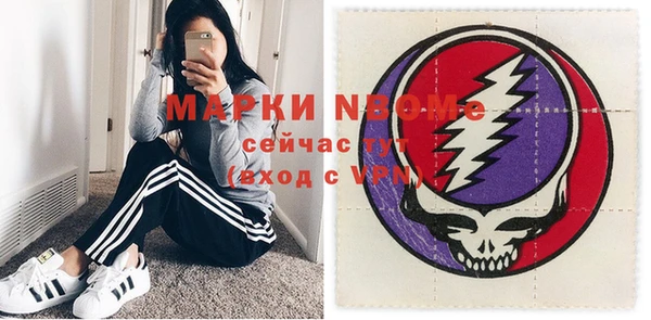 шишки Балахна