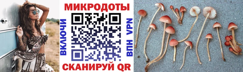 Галлюциногенные грибы мухоморы  Тында 